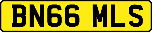 BN66MLS