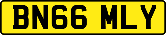 BN66MLY