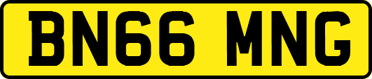 BN66MNG