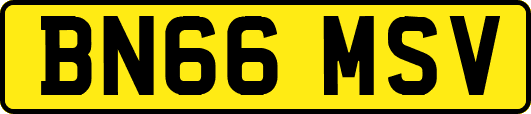 BN66MSV