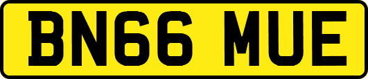 BN66MUE