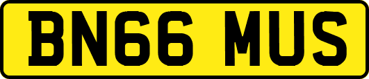BN66MUS