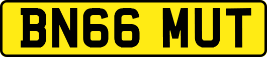 BN66MUT