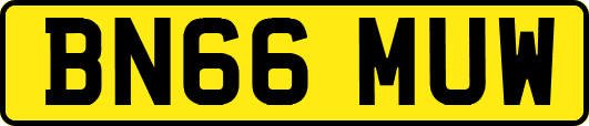 BN66MUW