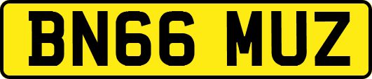 BN66MUZ