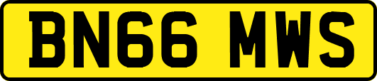 BN66MWS