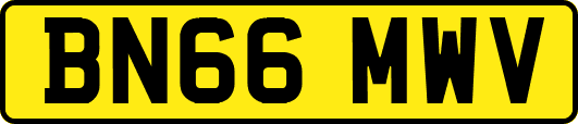 BN66MWV