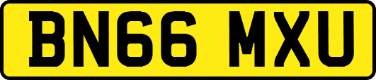 BN66MXU