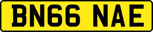 BN66NAE