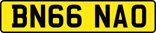 BN66NAO