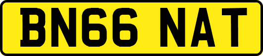 BN66NAT