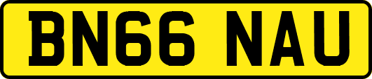 BN66NAU