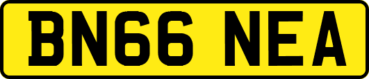 BN66NEA