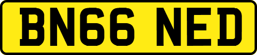 BN66NED