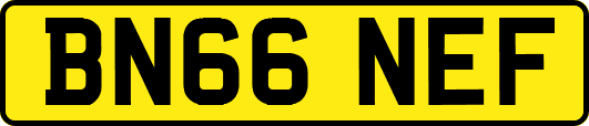 BN66NEF