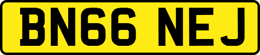 BN66NEJ