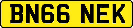 BN66NEK