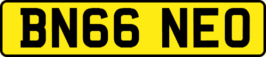 BN66NEO