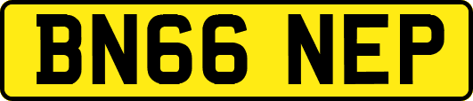 BN66NEP