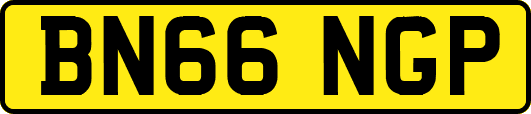 BN66NGP