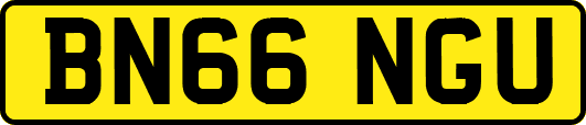 BN66NGU