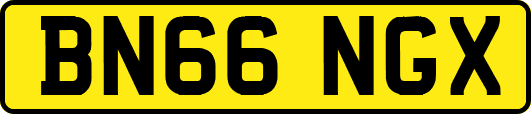 BN66NGX