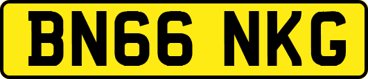BN66NKG