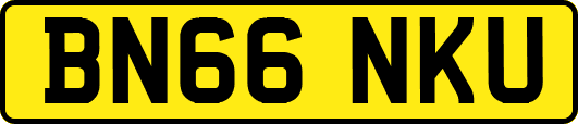 BN66NKU