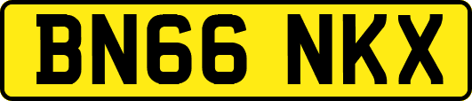 BN66NKX