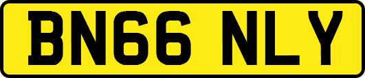 BN66NLY