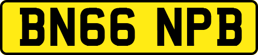 BN66NPB