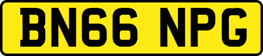 BN66NPG