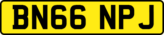 BN66NPJ