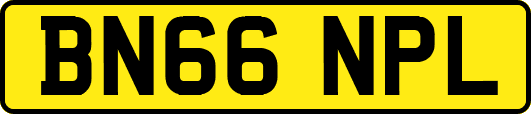 BN66NPL