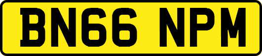 BN66NPM