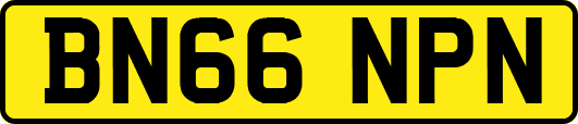 BN66NPN