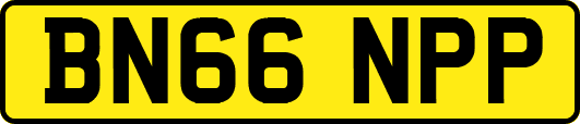 BN66NPP