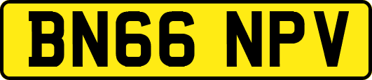 BN66NPV