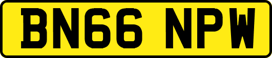 BN66NPW