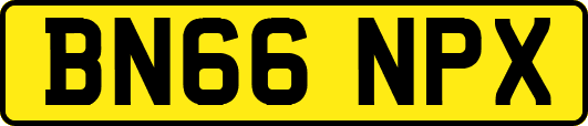 BN66NPX