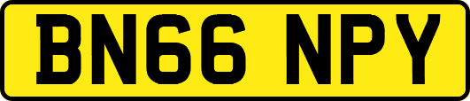 BN66NPY
