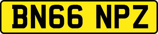 BN66NPZ