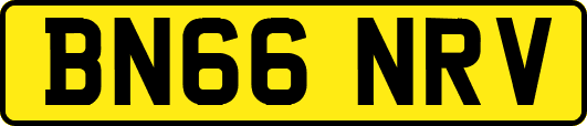 BN66NRV