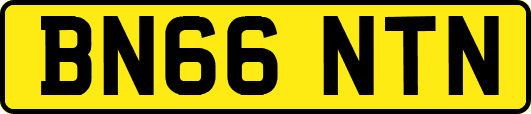 BN66NTN