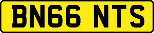 BN66NTS