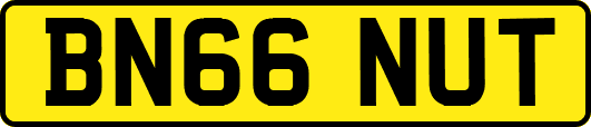 BN66NUT