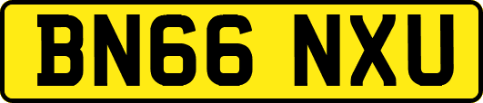 BN66NXU