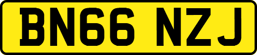 BN66NZJ