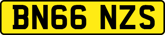 BN66NZS