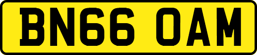 BN66OAM